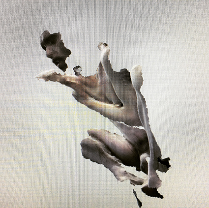 Interrupted 3D scan by artist Paul Coombs
